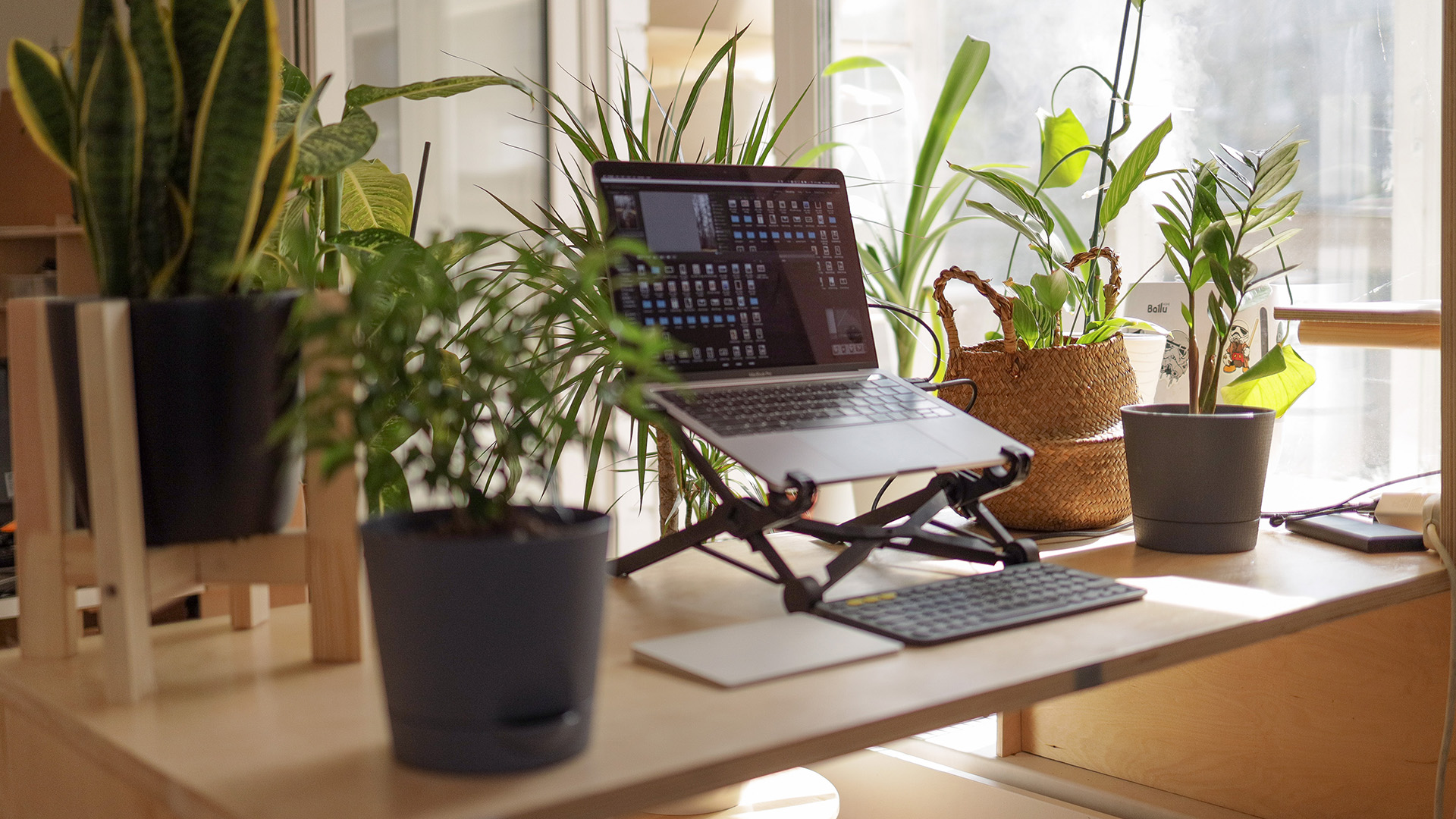 intern-challenges-wfh